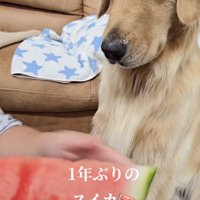 すでに戸惑いの表情