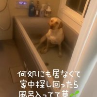 家の中を大捜索したら…