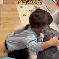 女の子に寄り添うこたろう君5