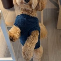 アルくんの構ってアピール2