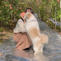 小型犬
