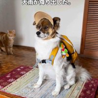 まさかの雨に呆然