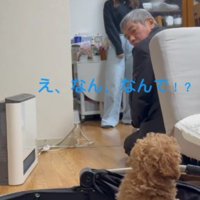 「え…だれ…？」