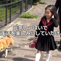 学校生活を楽しみにしていたのですが…