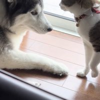 「なんでだめなん？」