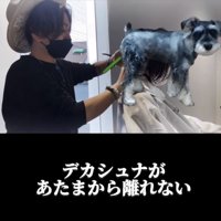 仕事中の人