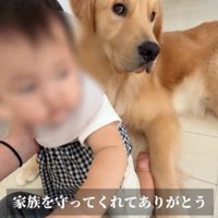 赤ちゃんは大切な家族だよ♡
