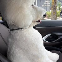 まるで人間が入ってるみたい