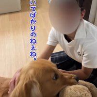 子供と大型犬