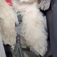 後部座席に目をやると…？