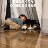 「愛してるよ。」