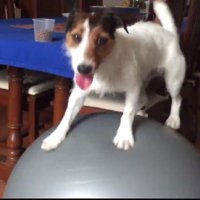 「ね！すごいでしょ？」