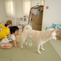 おまめちゃんと赤ちゃん9