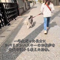 上手に歩けています♪