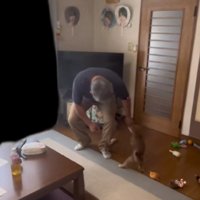 大はしゃぎのうま吉くんに…