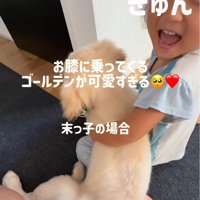 お子さんのお膝に乗るサンちゃん
