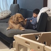 おやつをあげる息子さん
