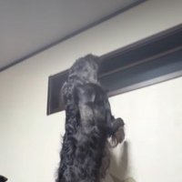 窓の外を見るウィルくん