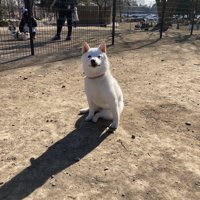 誇らしげ