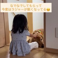 ラジャーくんも眠くなる…