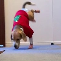 「おおおおお」