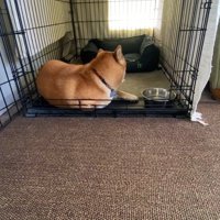 完全に拗ねています！