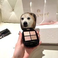 奇跡の一枚を激写