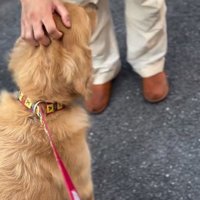 またお兄さんの元へいくゆずくん