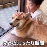 微笑む犬
