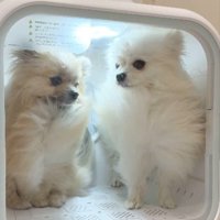 ドライボックス