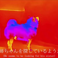 お姉ちゃんを探し中