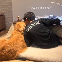犬吸い
