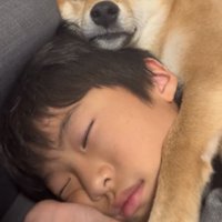 添い寝する犬と男の子