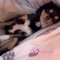 前足をピーン！！