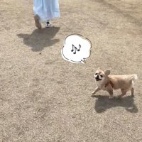 ご機嫌で遊んでいます♪