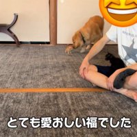 まるで本当の親子のよう！？