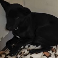 部屋の隅で固まる凛月ちゃん