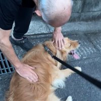 ピノくんとご夫婦の再会7