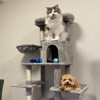 ハンモックにぴったり