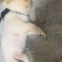 赤ちゃん
