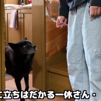 「パパは行っちゃだめ！」