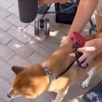 カートから降ろしたら…