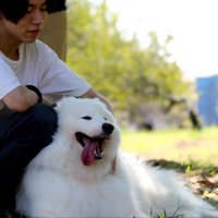 仲良し