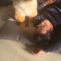 再び眠る男性を見つめる犬