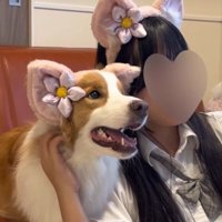 本当の女子高生のよう