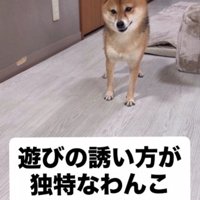 遊びに誘うとき