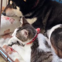すっかり懐いてしまった♡