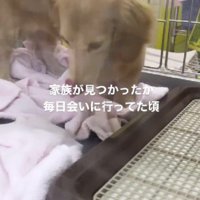 わんこと顔なじみに