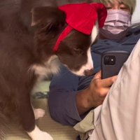 パパに初めて叱られて…