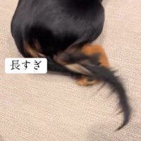 寒くて足を縮める一幕も